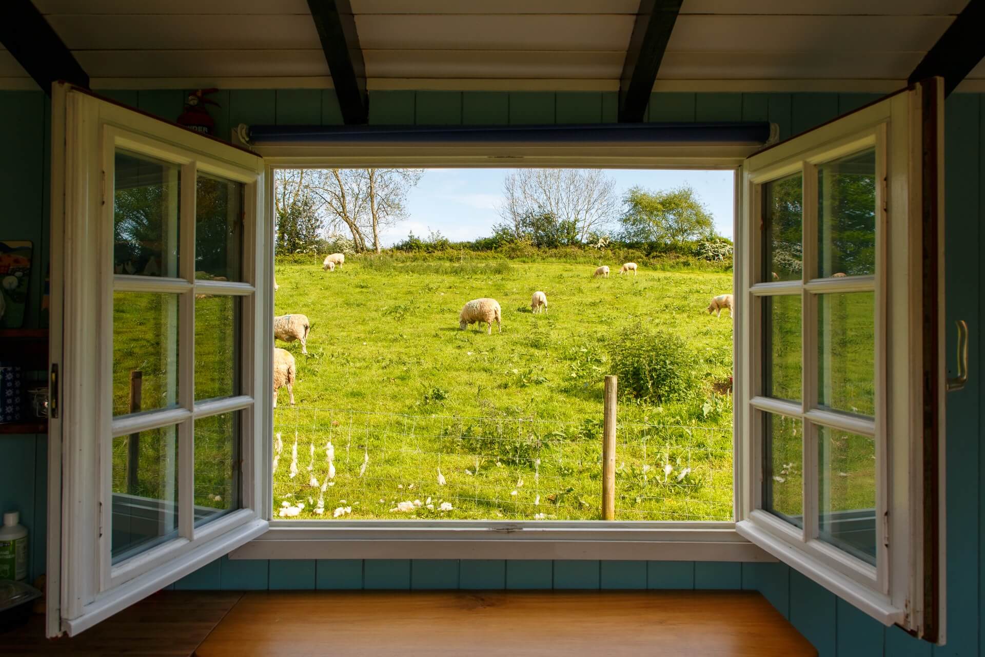 Open framed glass windows