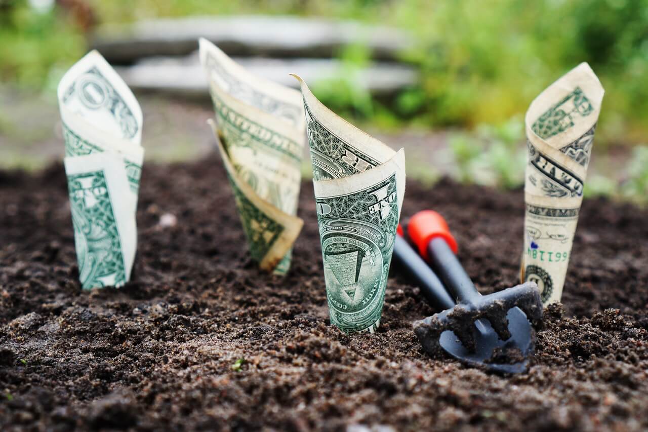 Dollar notes planted in soil near a shovel