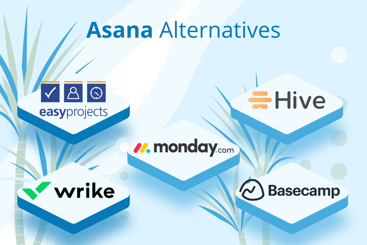 Asana Review Project Management Software