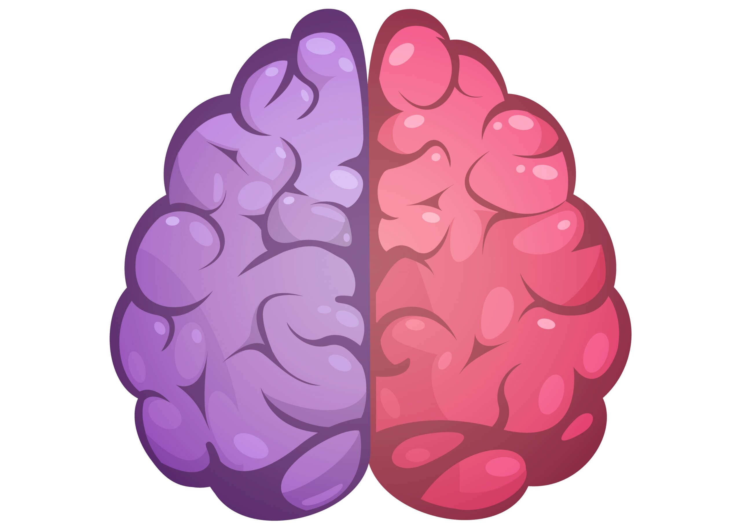 The Pinky and the Brain effect and 4 other organization types