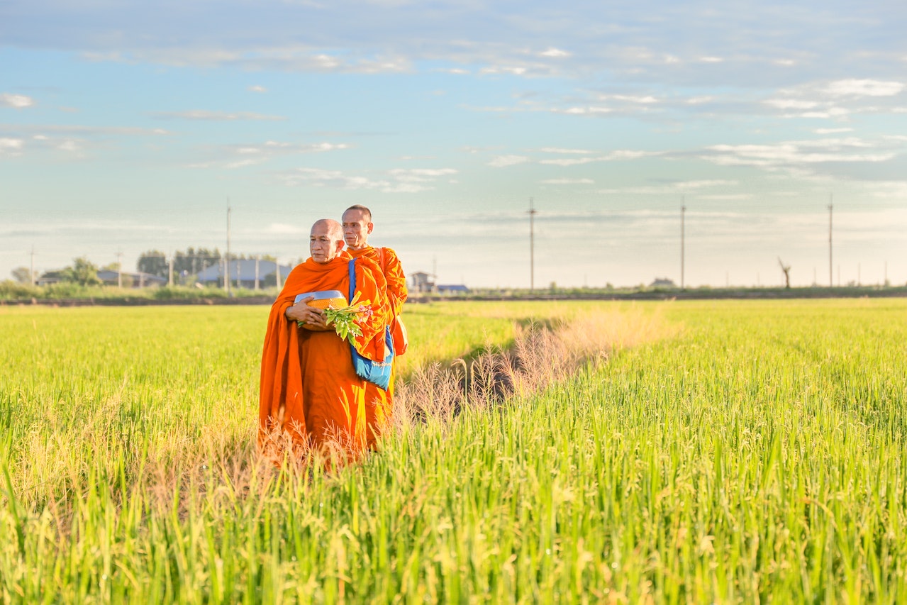 Buddhist-monks-walking-in-a-field.