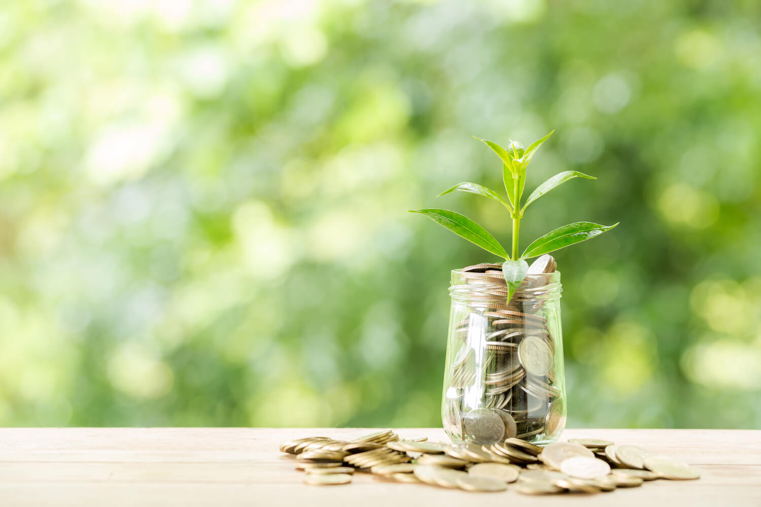 plant-growing-from-coins-glass-jar-blurred-nature