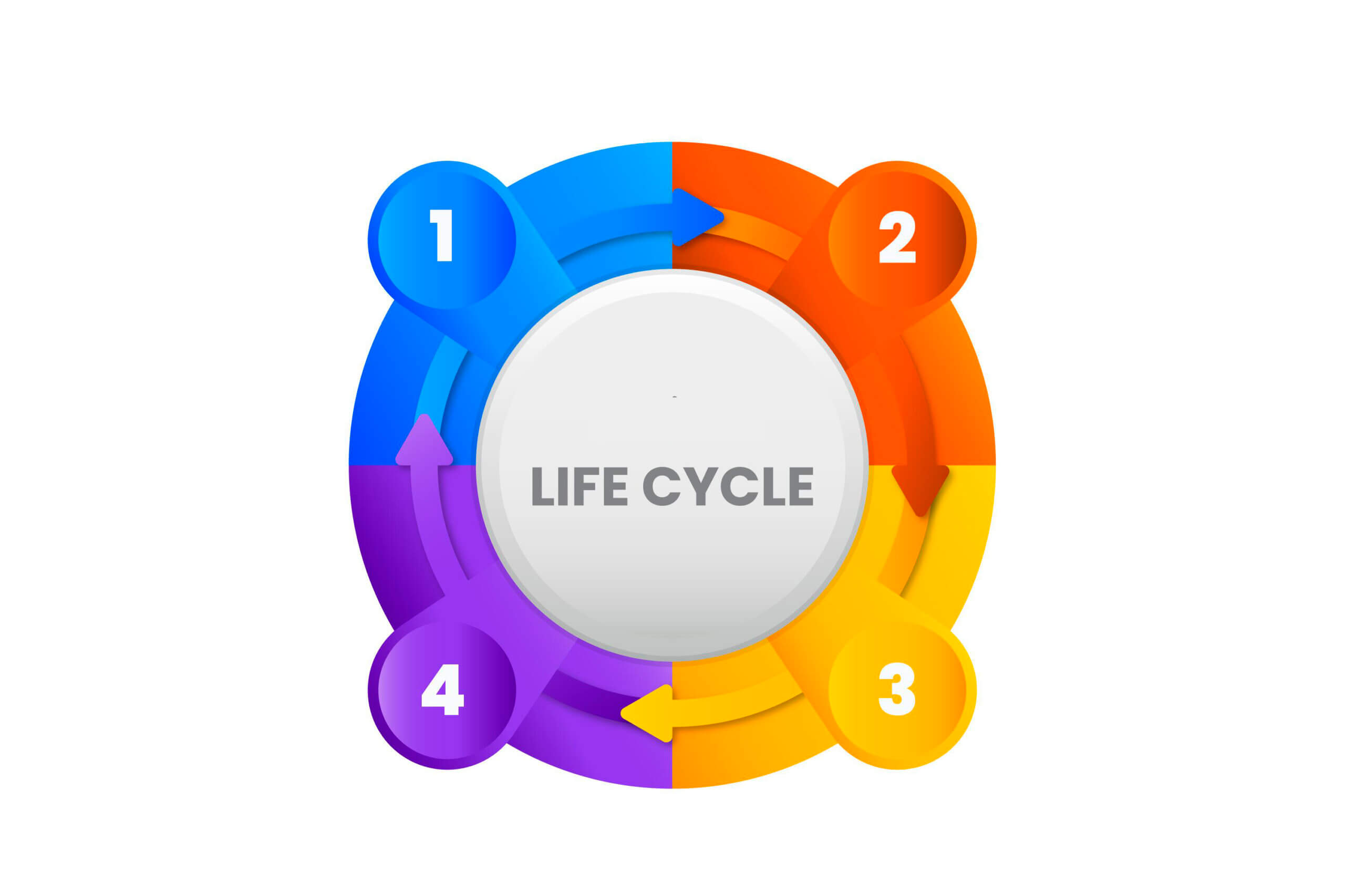 Life cycle on a gray background