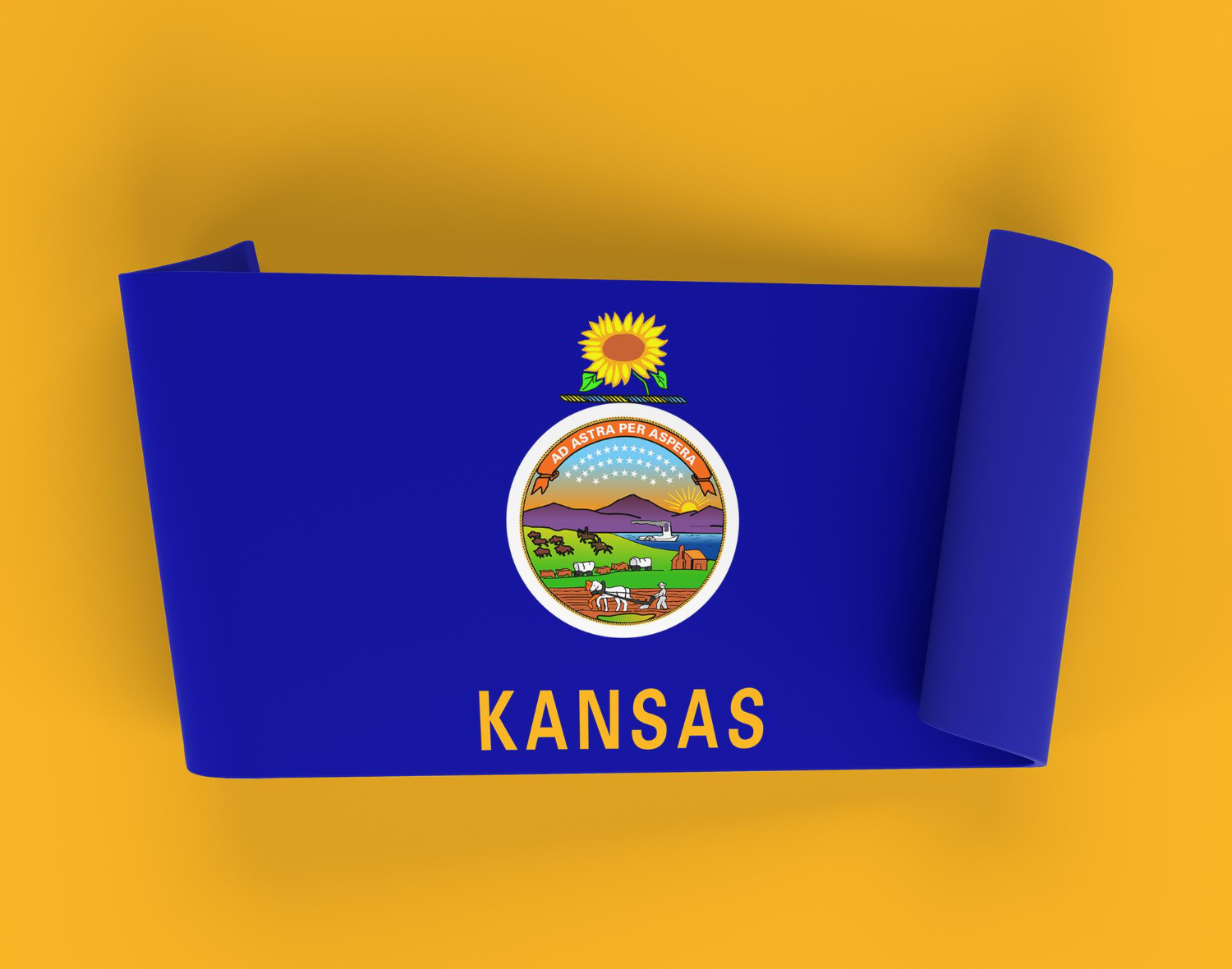 Kansas ribbon banner