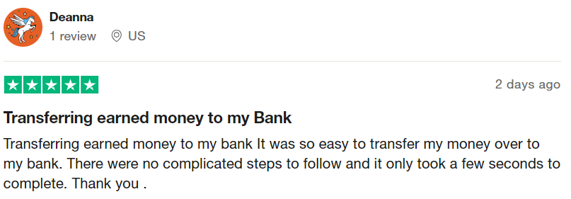 Survey Junkie User Review-