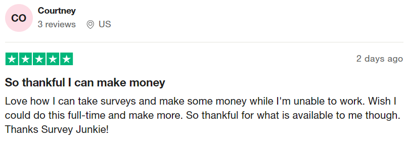 Survey Junkie User Review